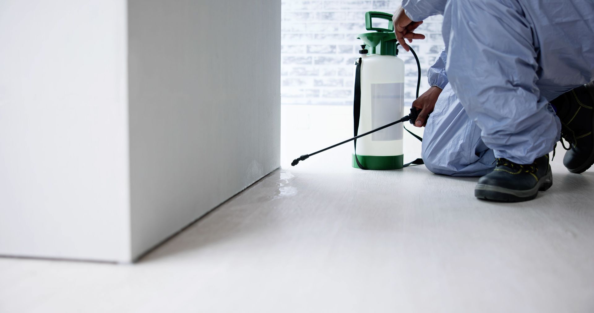 Comprehensive Pest Control Services