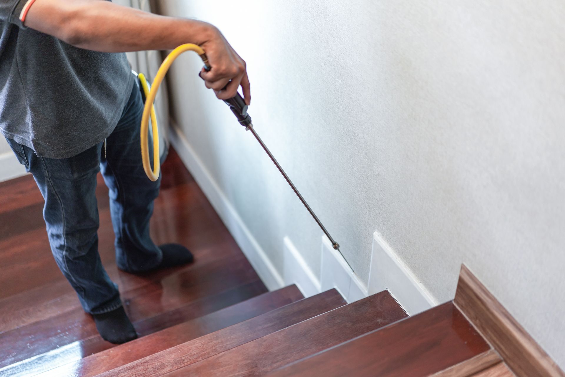 Home Pest Control Service in Harrisonburg, VA