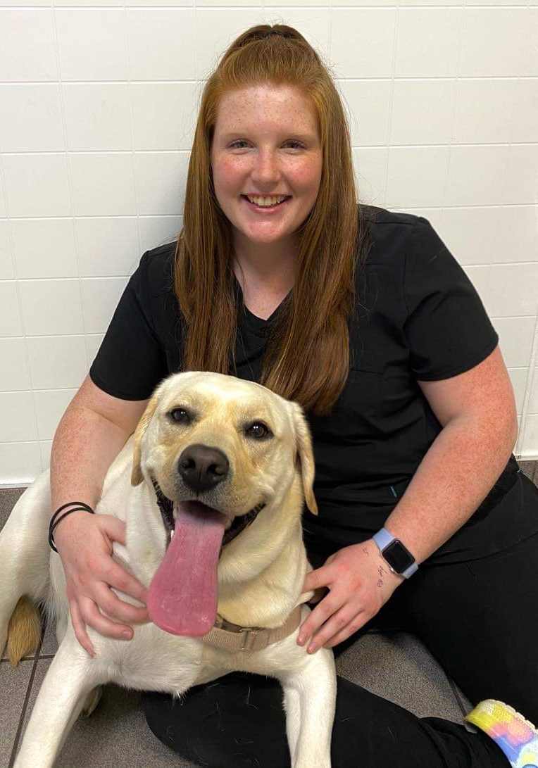 Our Staff Pet Hospital Lancaster & Cheektowaga, NY Transit Animal