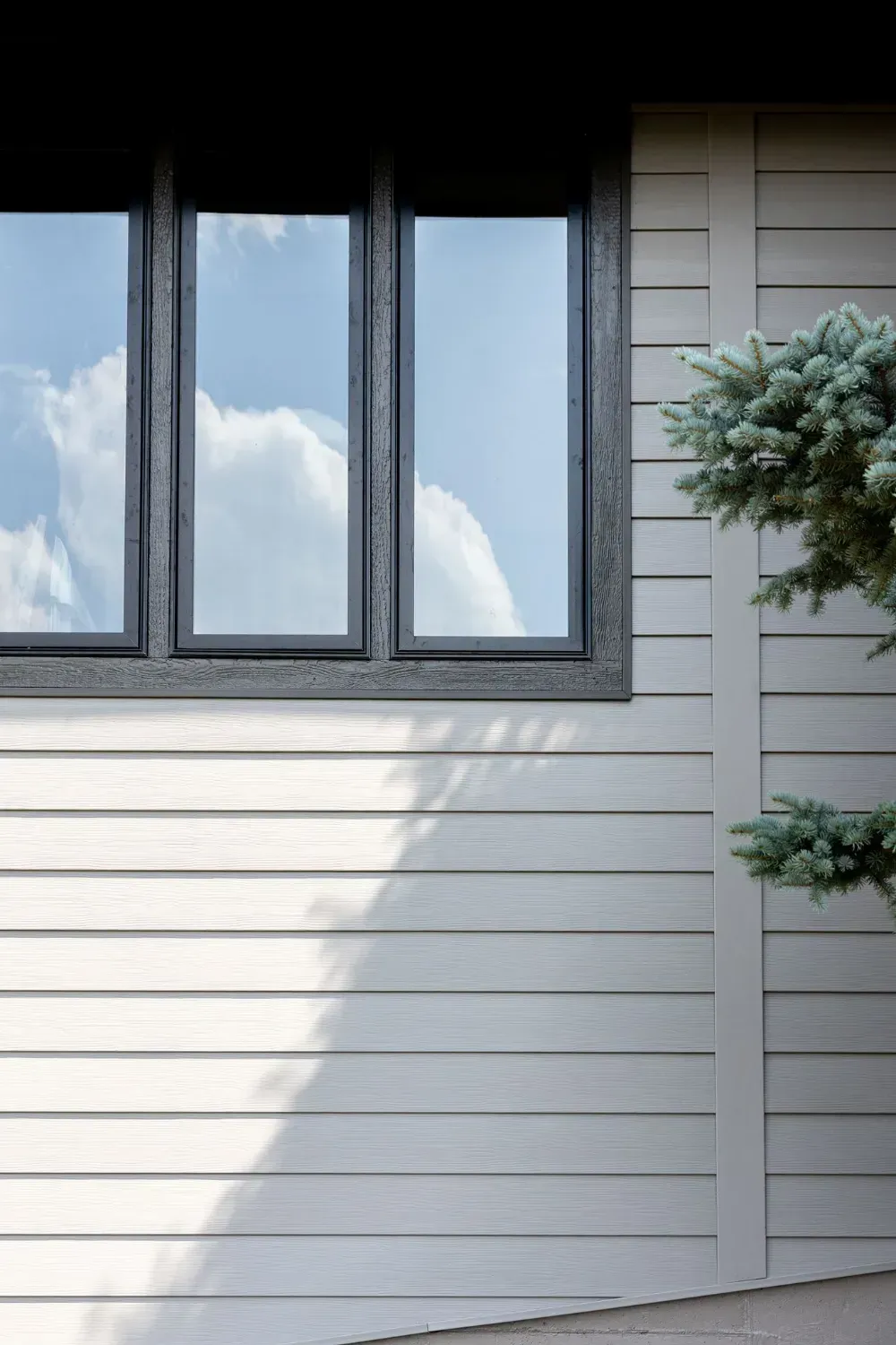 Siding and Window
