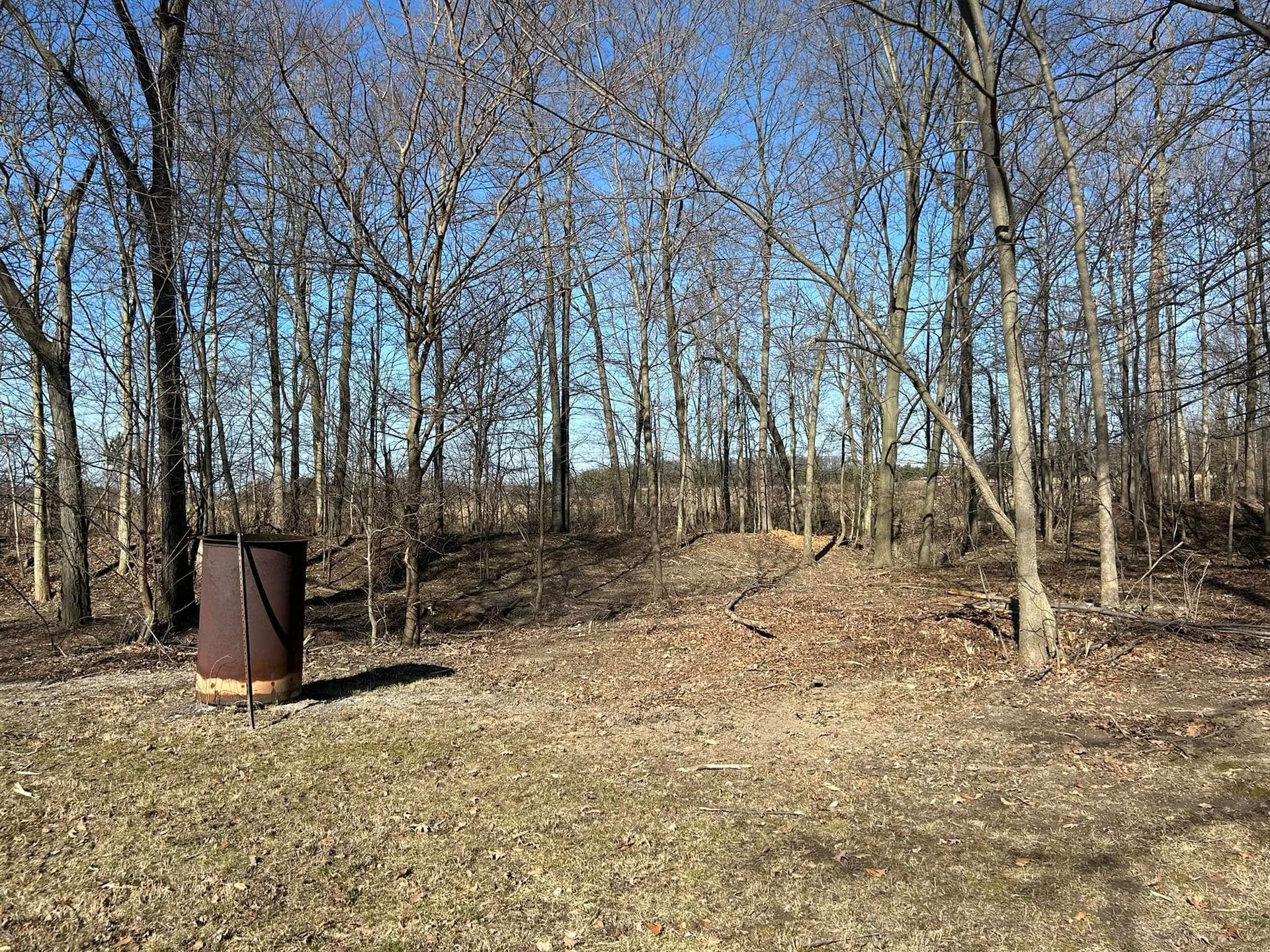 Rusty metal container in a clearing, surrounded by leafless trees under a clear blue sky.