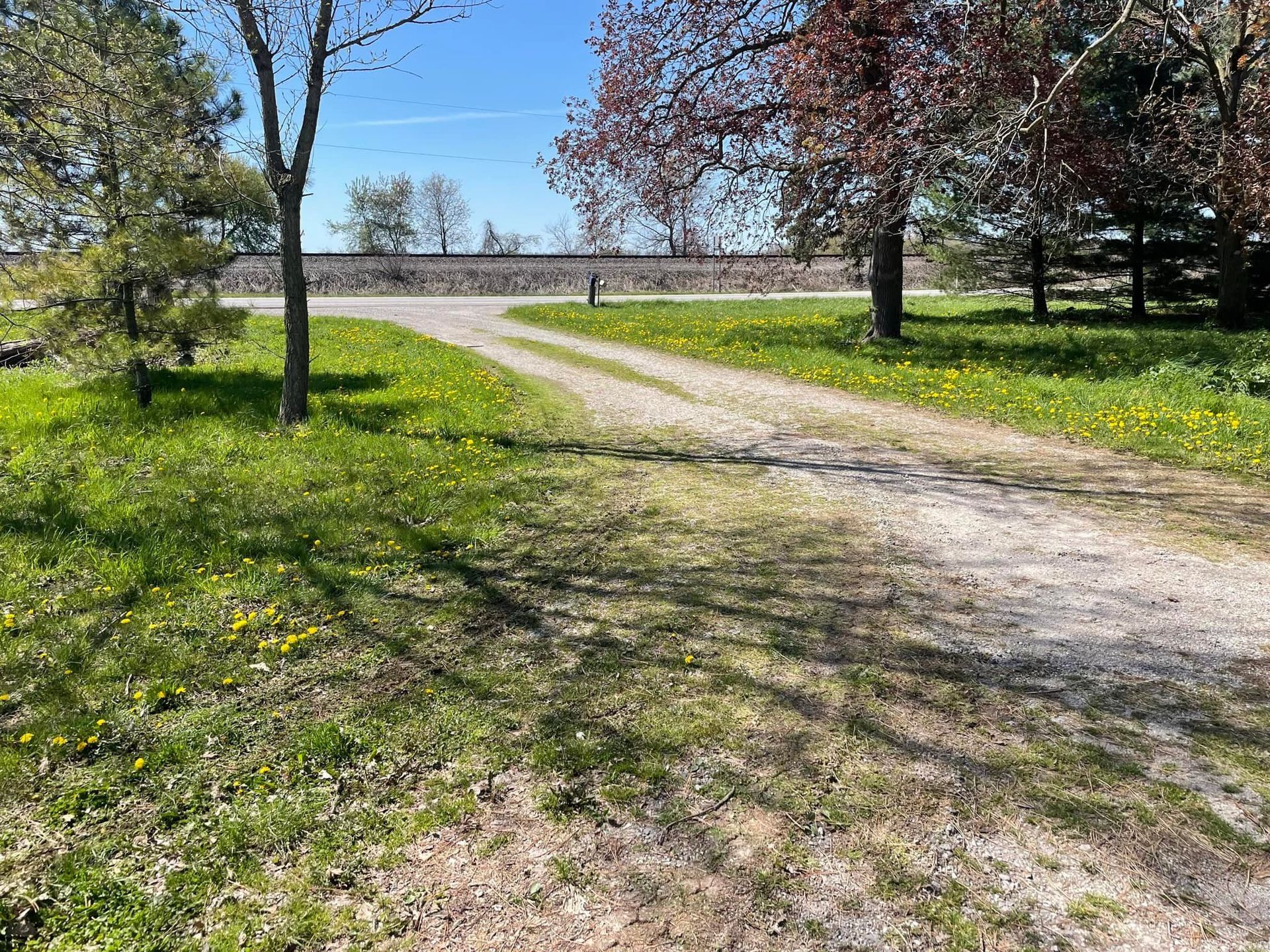 Gravel driveway curves through grassy area, flanked by trees with green and red leaves, under a blue sky.