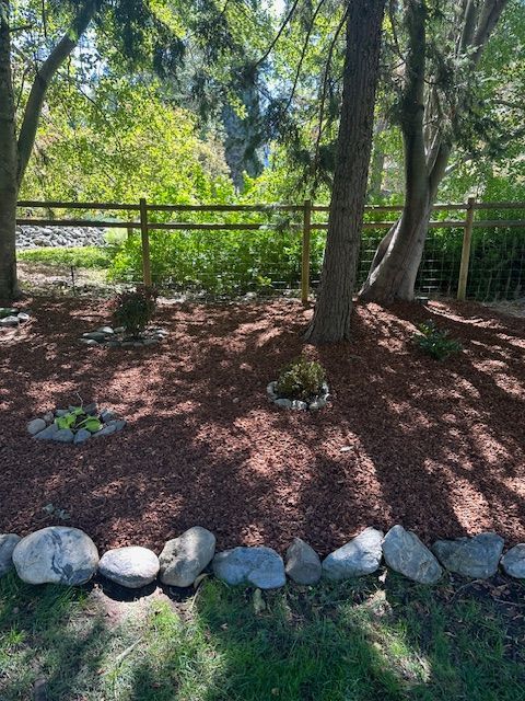 A shaded garden bed with reddish mulch, several small plants in stone rings, and a border of large rocks near a fence.