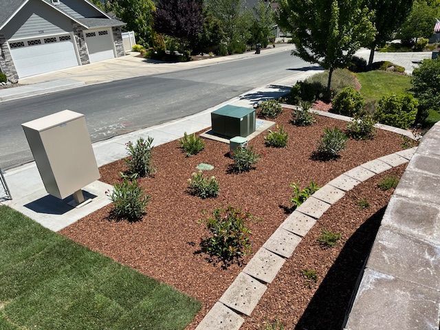 A landscaping project featuring red mulch, young shrubs, and a curved stone border next to a sidewalk and utility boxes.