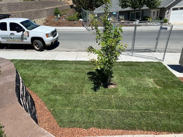 A freshly laid patch of green sod sits in a front yard with a young tree, next to a white service truck on a residential street.