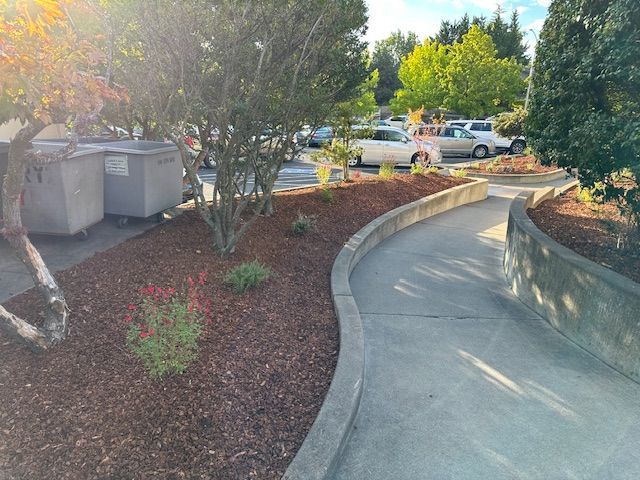 A curved concrete sidewalk flanked by a landscaped garden bed with mulch, small shrubs, and large dumpster bins.