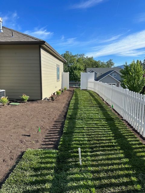 A narrow strip of freshly laid green sod sits between a tan house wall and a white picket fence under a blue sky.