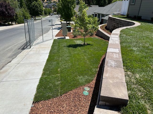 A sidewalk runs alongside a grassy strip and a curved retaining wall in a suburban neighborhood.
