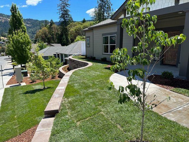 A house exterior with a curved stone retaining wall, green lawn, young tree, and concrete walkway under a blue sky.