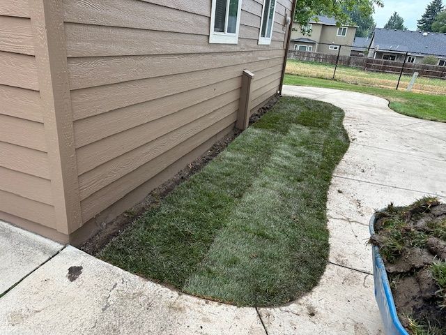 A strip of newly laid sod patches between a beige house wall and a concrete walkway.