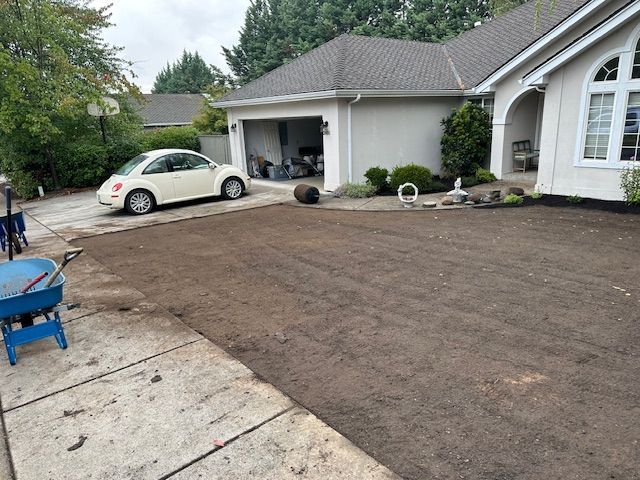 A beige Volkswagen Beetle parked in a suburban driveway next to a yard prepared for new sod installation.