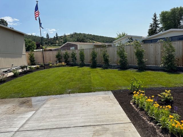 A mowed green lawn with a line of small trees against a wooden fence, featuring a concrete patio and flowers in the foreground.