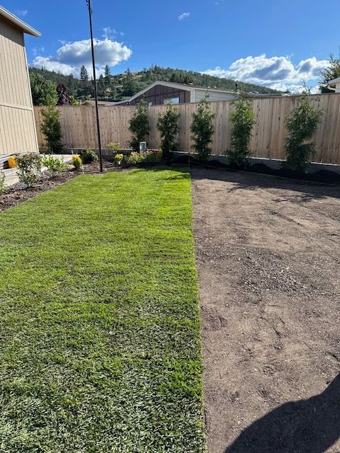 A backyard showing a transition from a freshly laid green lawn on the left to bare, prepared soil on the right.