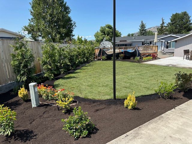 A backyard landscape with fresh green sod, dark mulch beds, new shrubs, and an arborvitae hedge along a wooden fence.