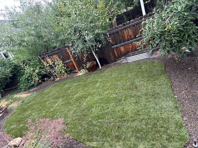 A fresh patch of green lawn in a backyard, bordered by gravel paths, trees, and a wooden privacy fence.