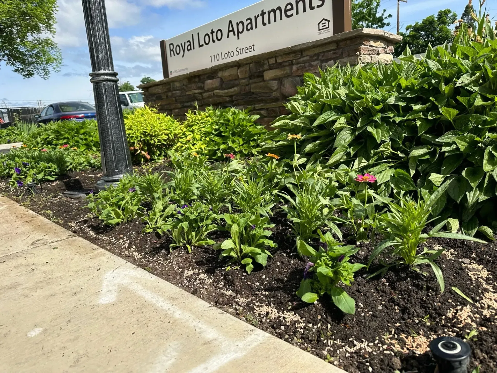 A stone sign for Royal Loto Apartments surrounded by green landscaping and a flower bed in front of a sidewalk.