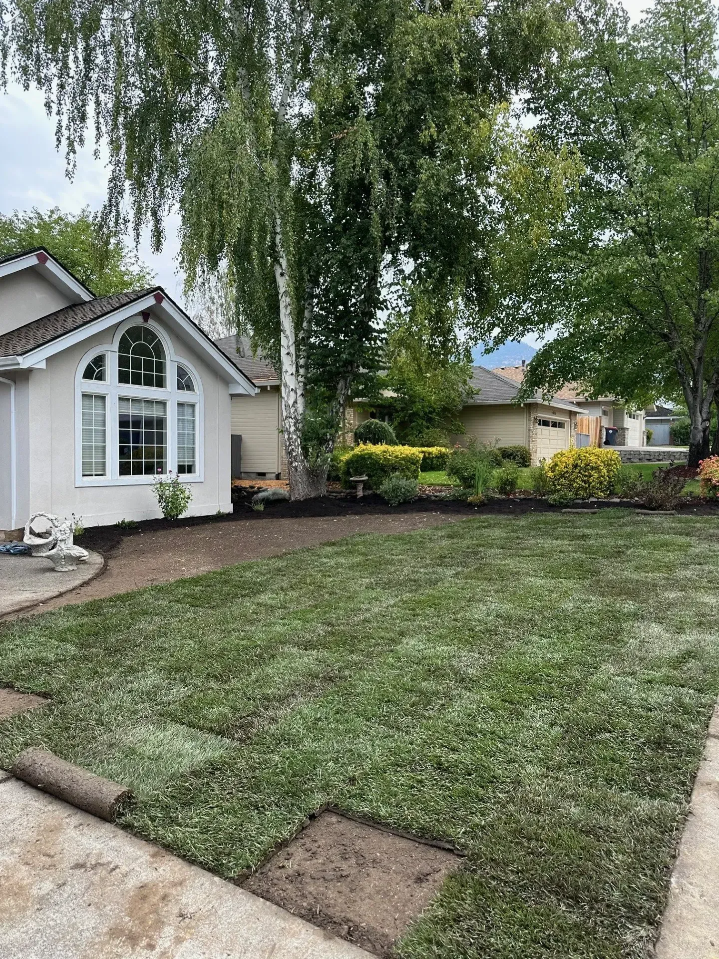 A newly laid sod lawn in the front yard of a house with light-colored siding and large windows, surrounded by trees.