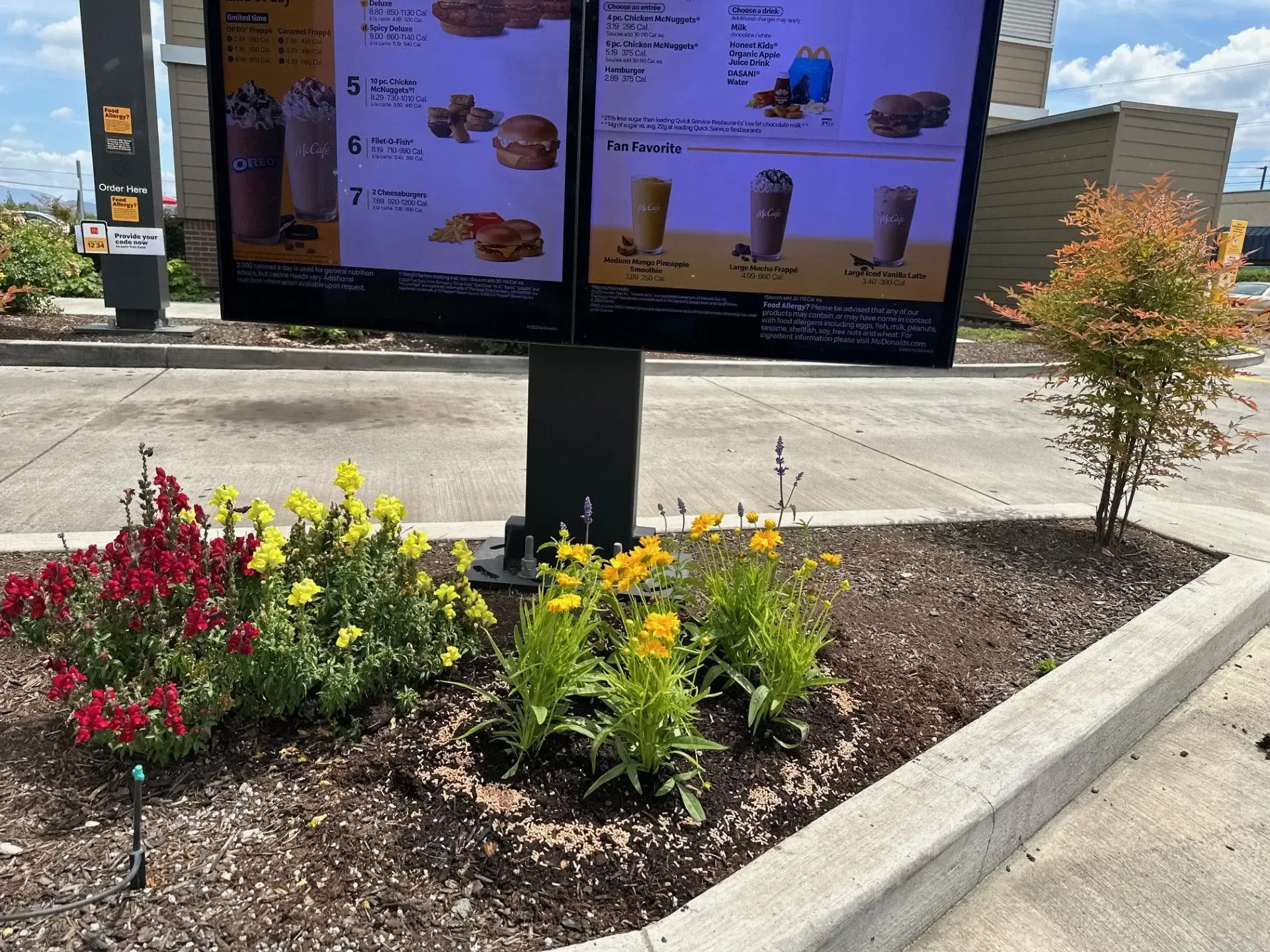 A McDonald's drive-thru menu board stands over a flower bed with red and yellow flowers against a sunny blue sky.