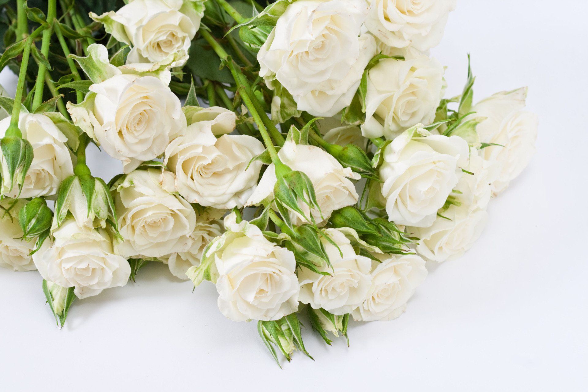 Fresh flowers for funeral arrangements