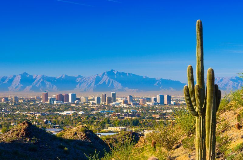 A cactus is standing in front of a city skyline with mountains in the background.