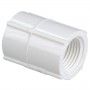 PVC- 3/4" FEMALE ADAPTER
