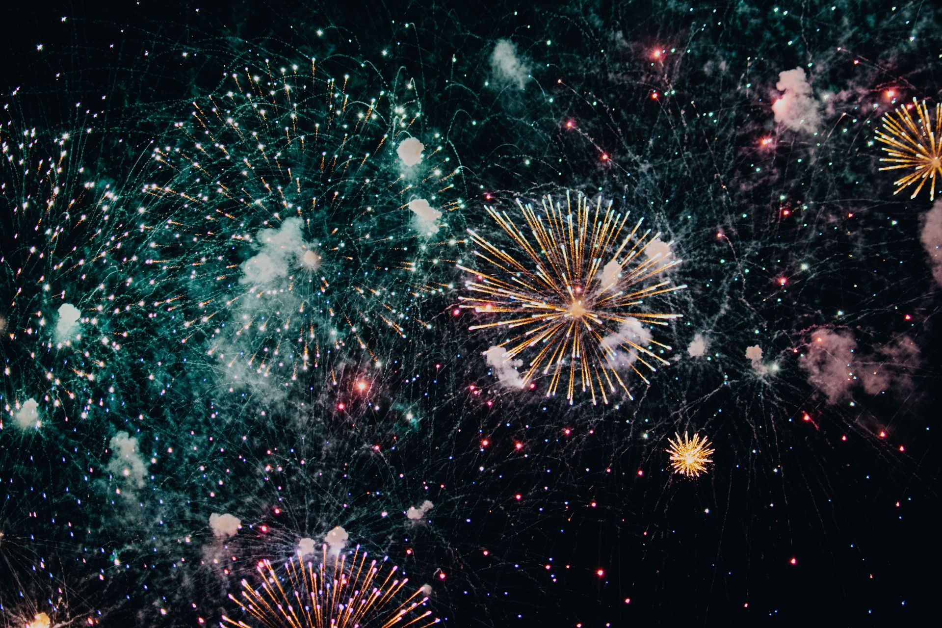 colorful fireworks filling the back sky