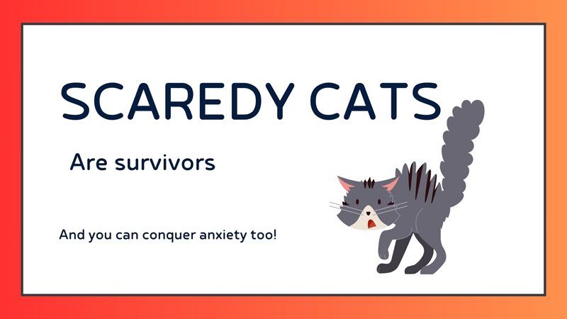 Title card reading “SCAREDY CATS” with a gray cartoon cat and smaller text about anxiety survival