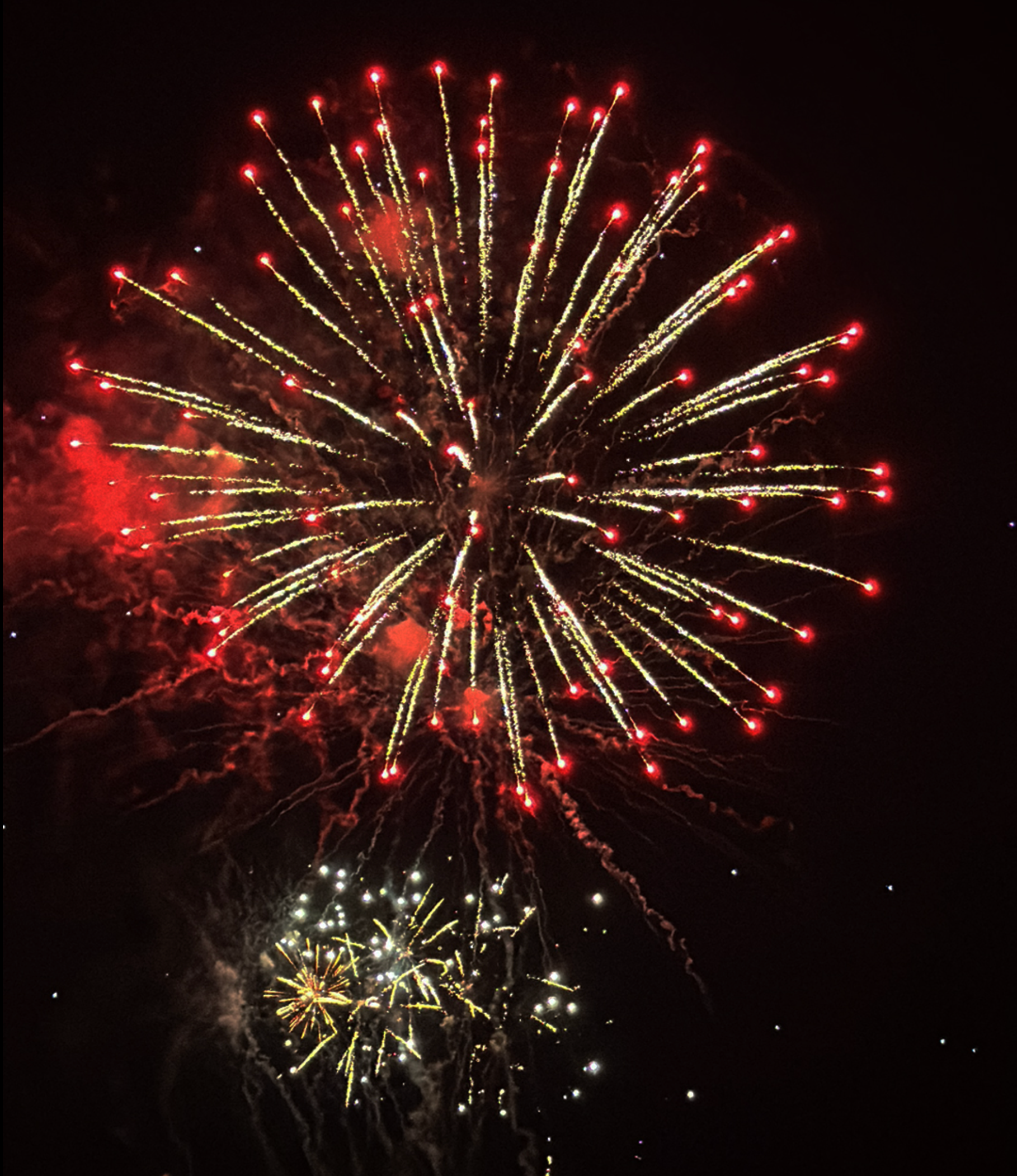 A fireworks display is going off in the night sky