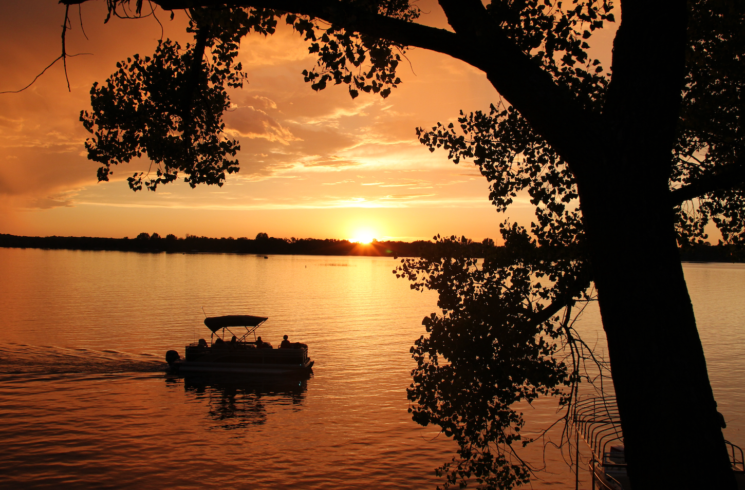 Orange sunset over a calm lake, framed by the silhouette of a large tree