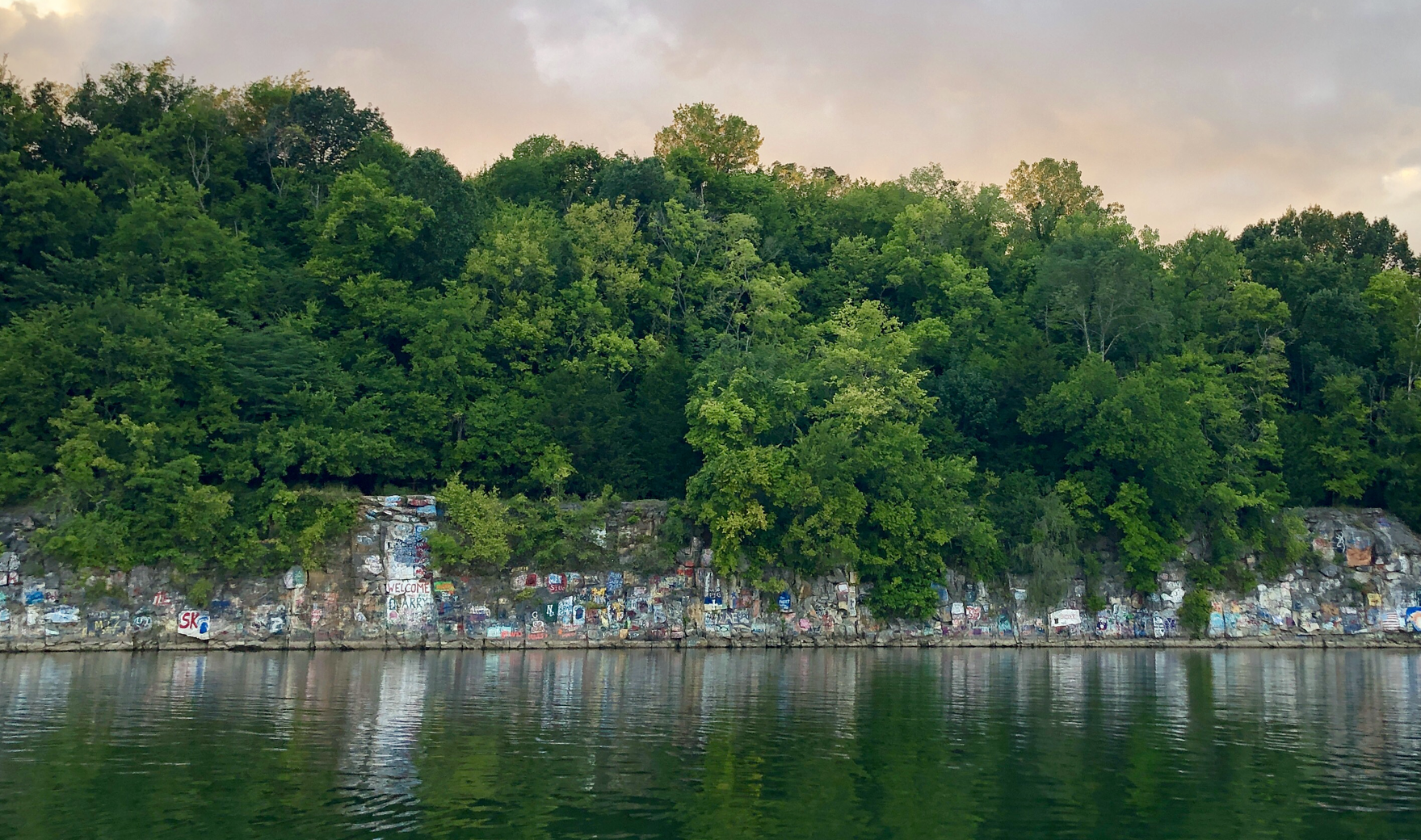 A large body of water with trees on the shore