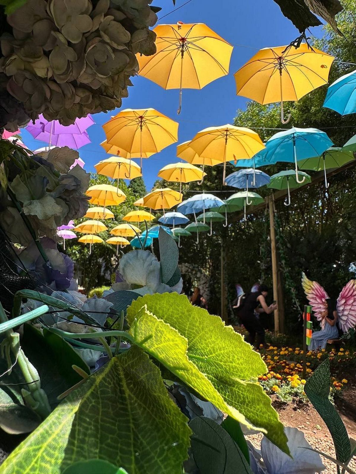 Jardim do Amor