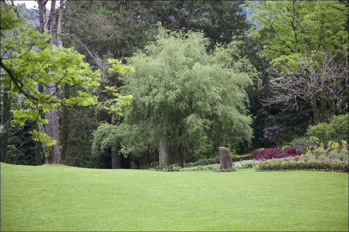 Le Jardin Parque de Lavanda