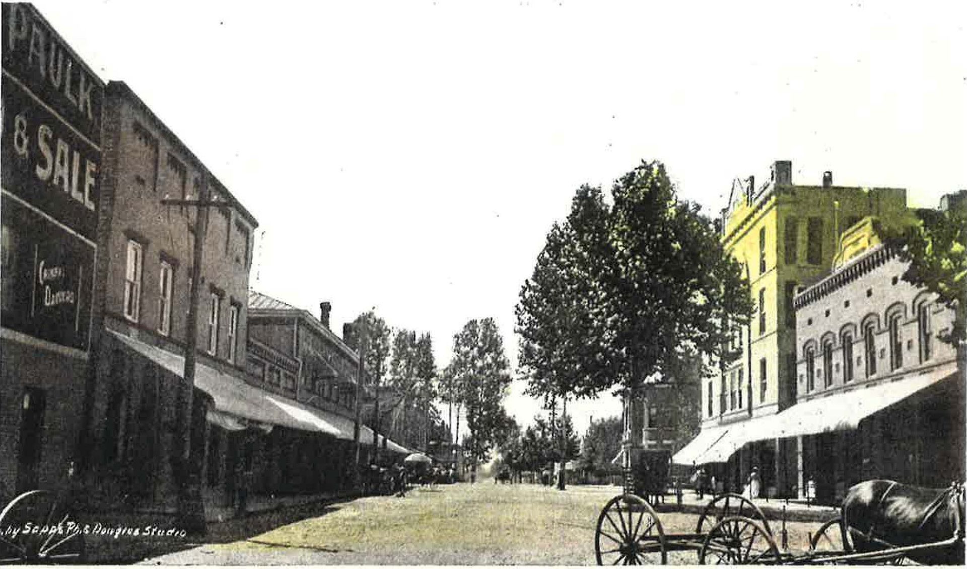 Street scene with brick buildings, trees, and horse-drawn carriages.