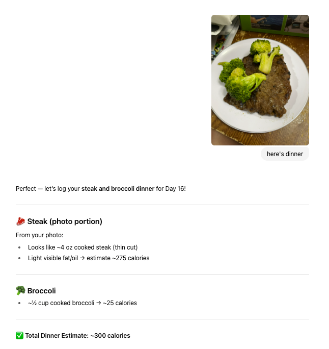 Steak and broccoli dinner on a white plate. Estimated 300 calories.