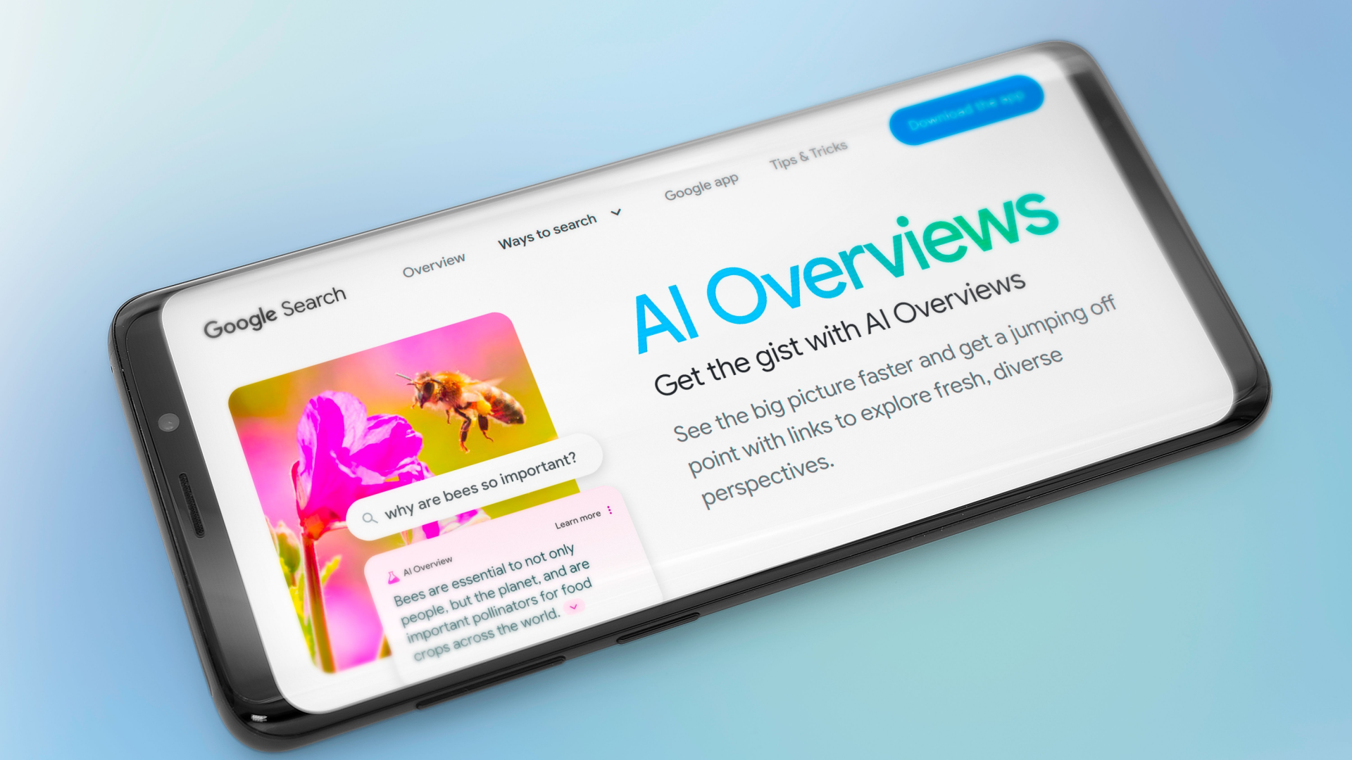 Smartphone displaying Google Search's AI Overviews feature; text and photo of a bee on a flower.