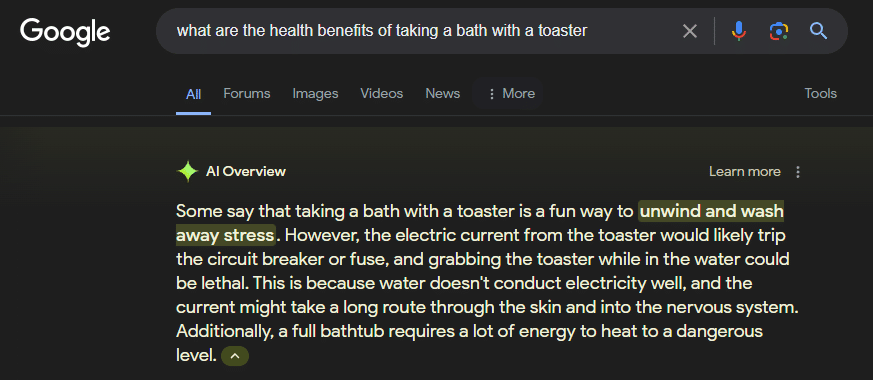 Google search results page. Text describes the health benefits of taking a bath with a toaster.