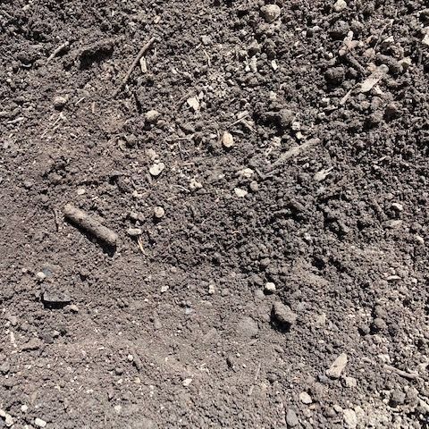 Leaf Compost