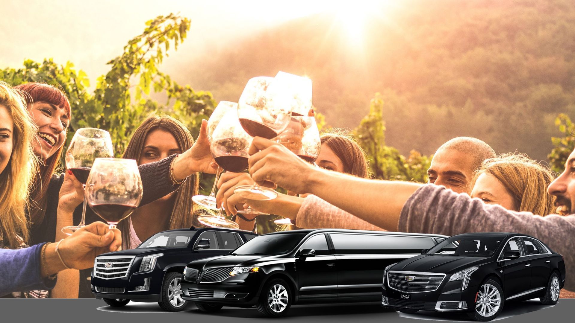 Long Island Wine Tours, Hourly rates available for your convenience, best service around at the best prices for everyone,