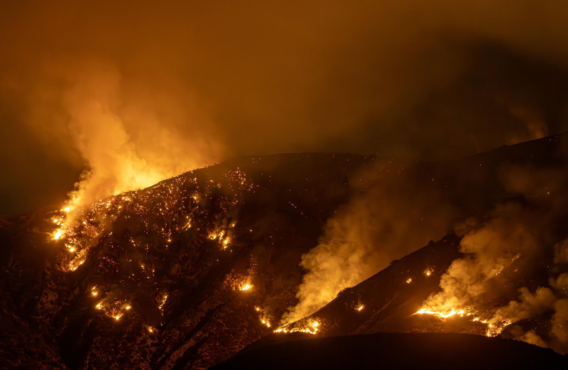 The los angeles wild fire