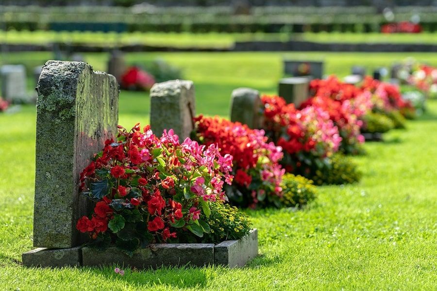 Headstones with red flowers in a cemetery on a sunny day.