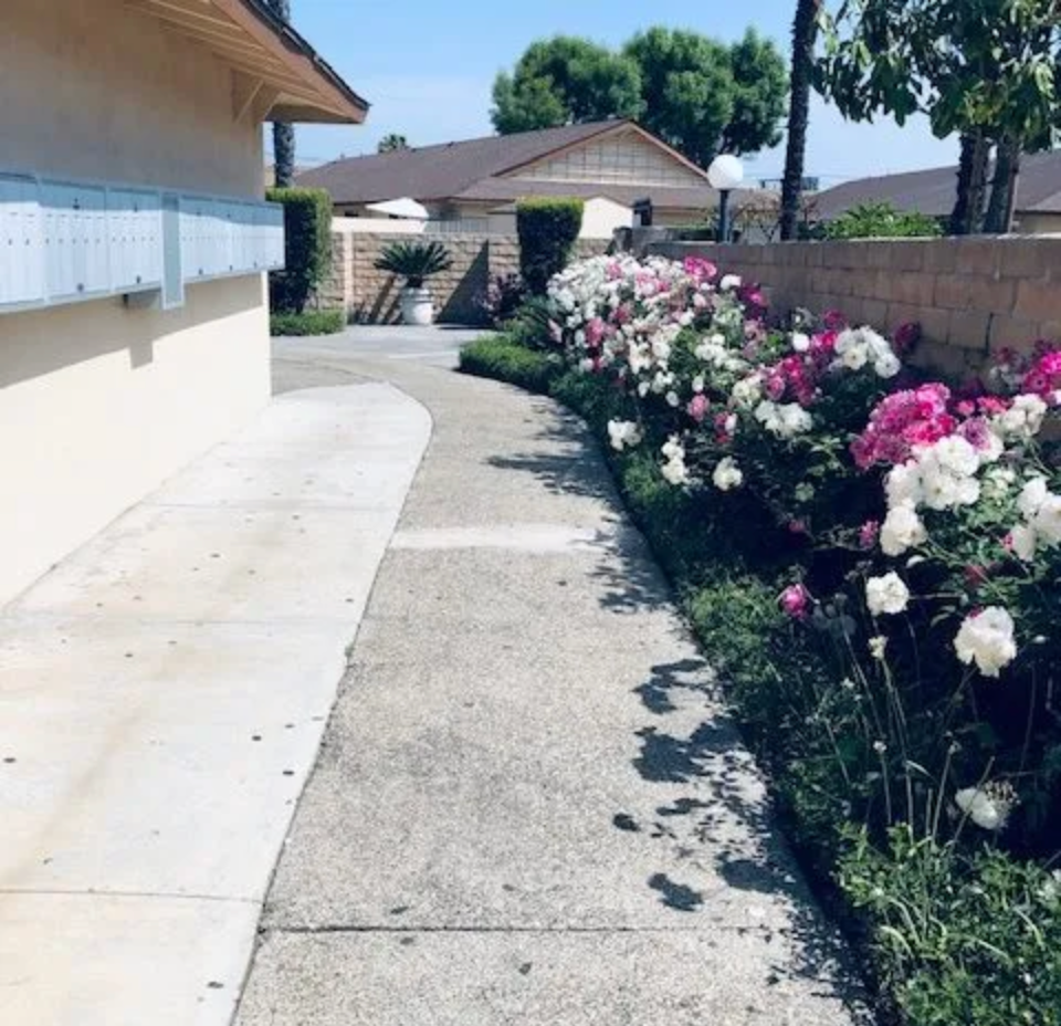 A walkway with flowers on the side of it