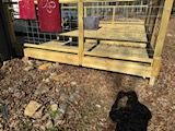 A black dog is standing in front of a wooden fence.