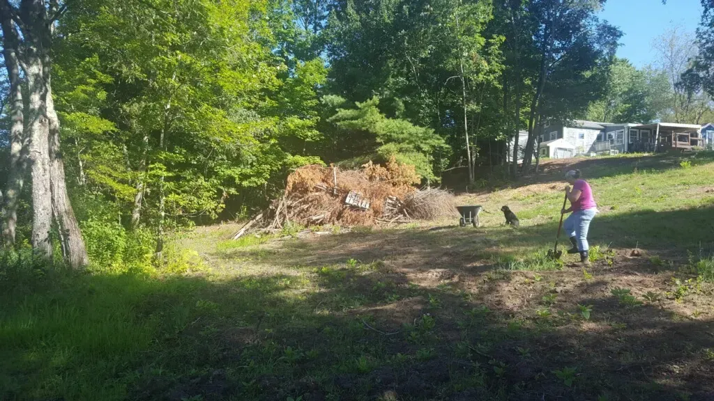 Person in pink stands in a sunny wooded yard near a pile of brush and a small black dog.