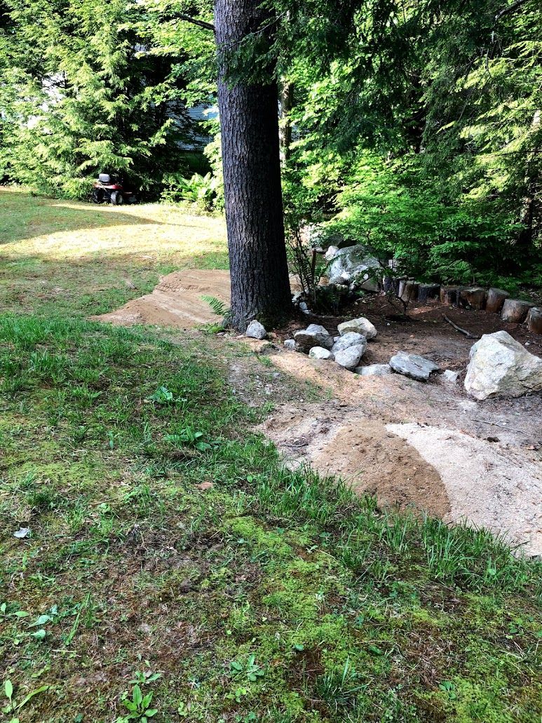 Forest clearing with a large tree, grassy path, and a rocky dirt patch near the woods