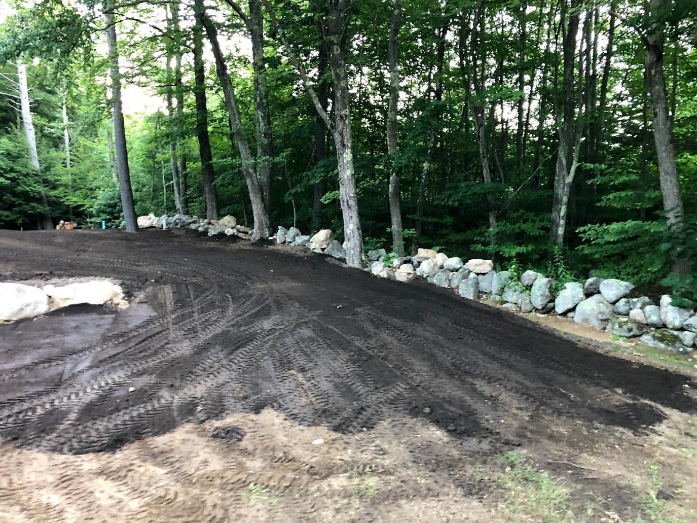 Freshly graded dirt driveway curving through a wooded area with a rock border