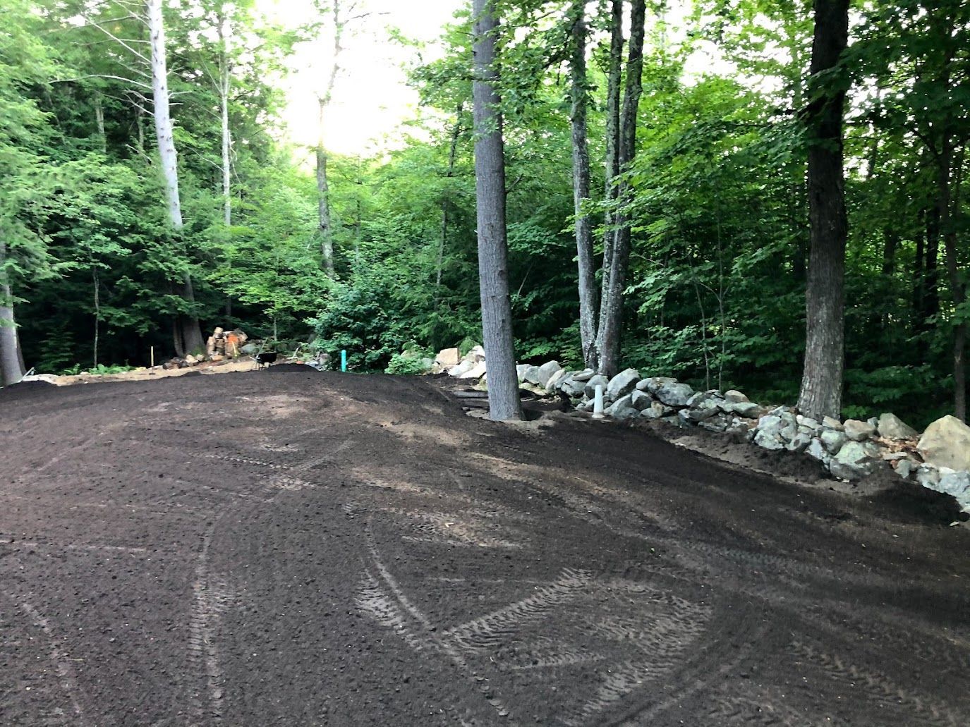 Forest clearing with a fresh gravel driveway beside a stone border and tall green trees