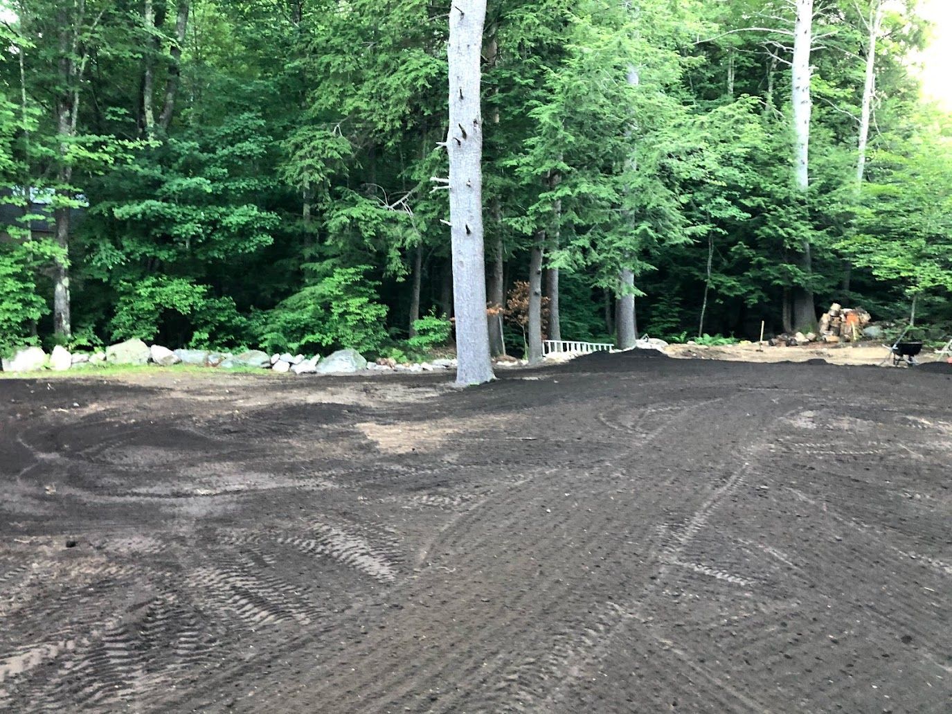 Cleared dirt area beside a forest, with tall trees and a stone border in the background