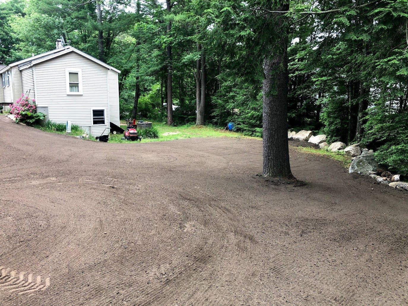 Gravel driveway beside a small white house in a wooded yard with tall trees and garden flowers