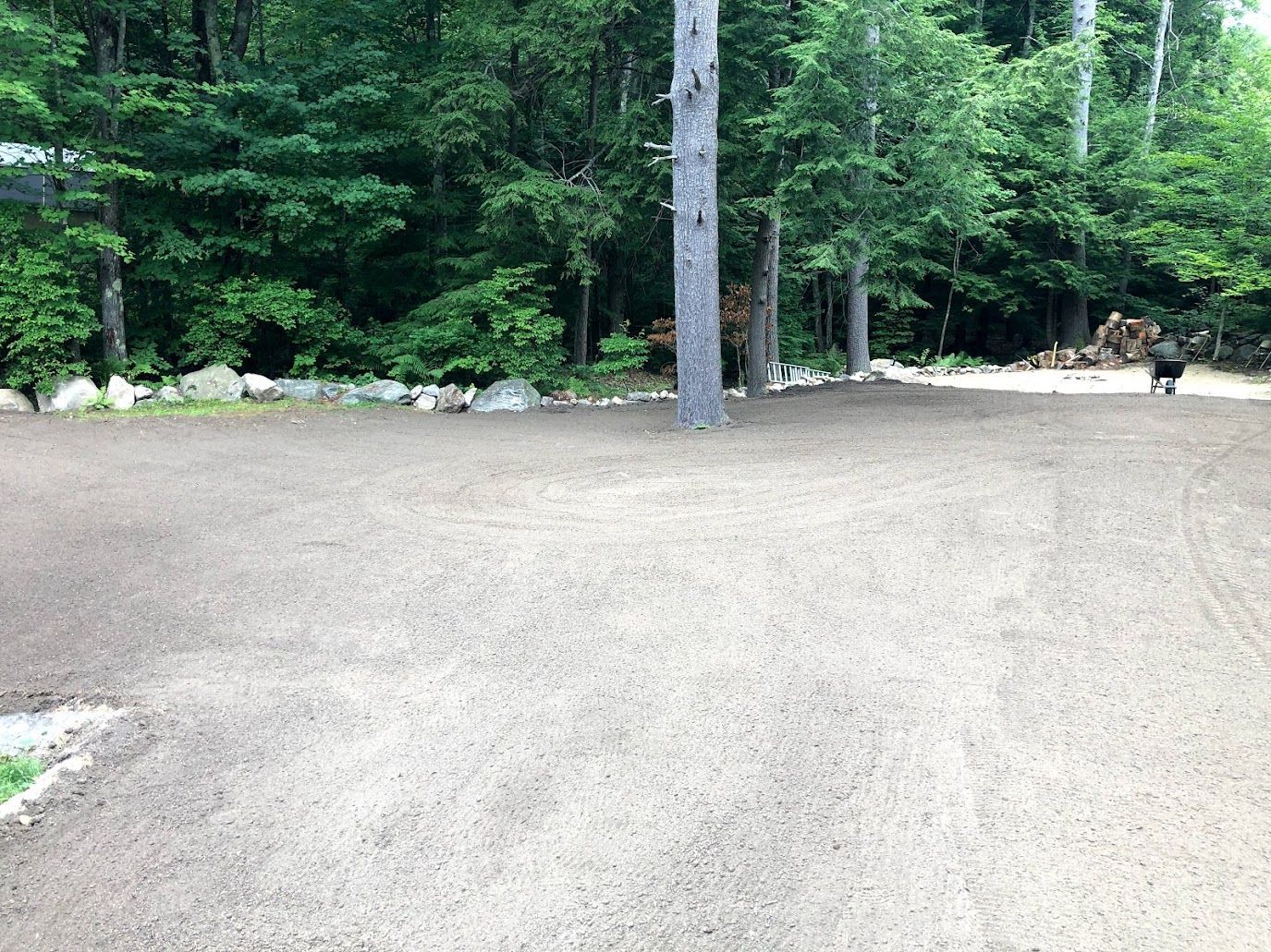 Gravel clearing bordered by tall green trees and a stone edge in a forested park