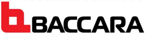 Logo a forma di